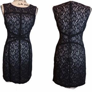 Bisou Bisou black Lace bodycon flattering dress